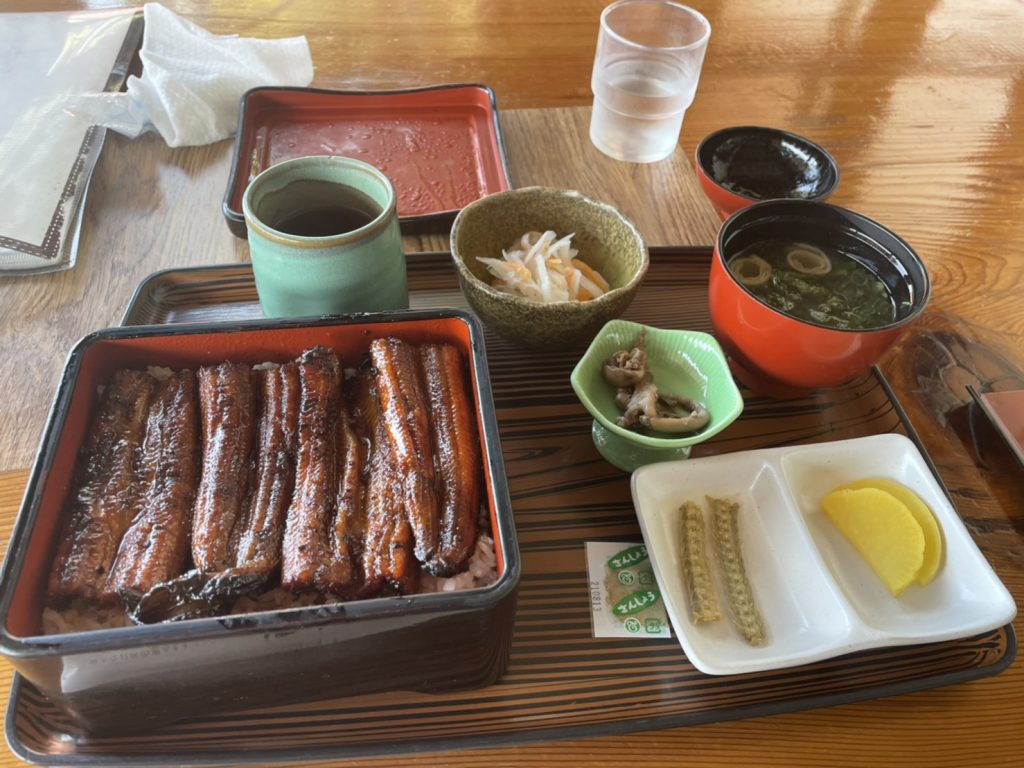 Natural eels from the Shimanto River