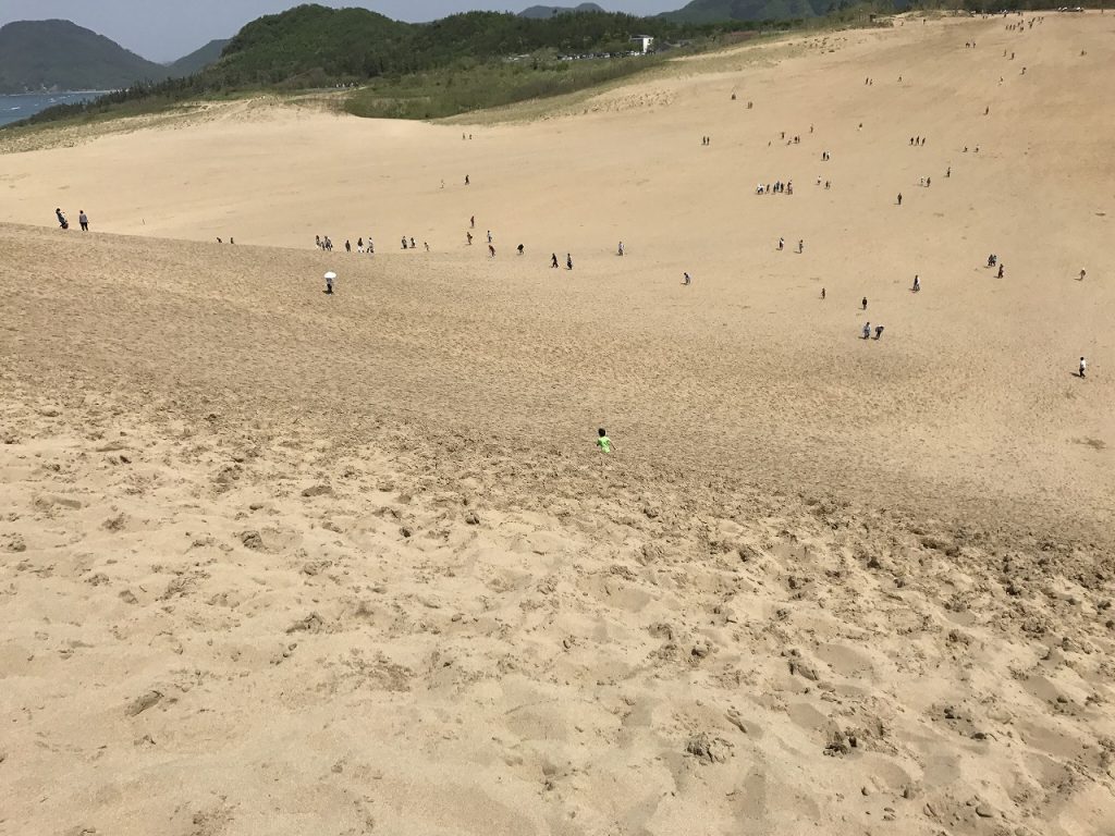 Tottori Sand Dunes 02