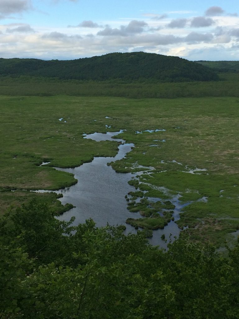 Kushiro Wetland 02