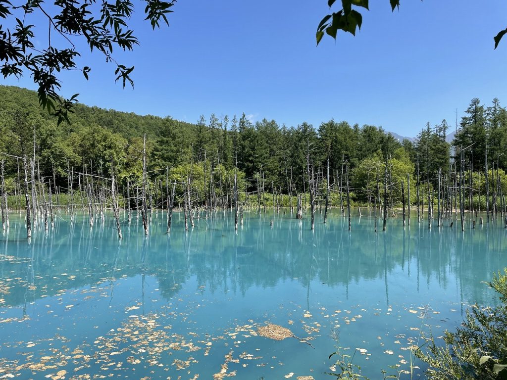 lue pond in Biei near Asahikawa 02