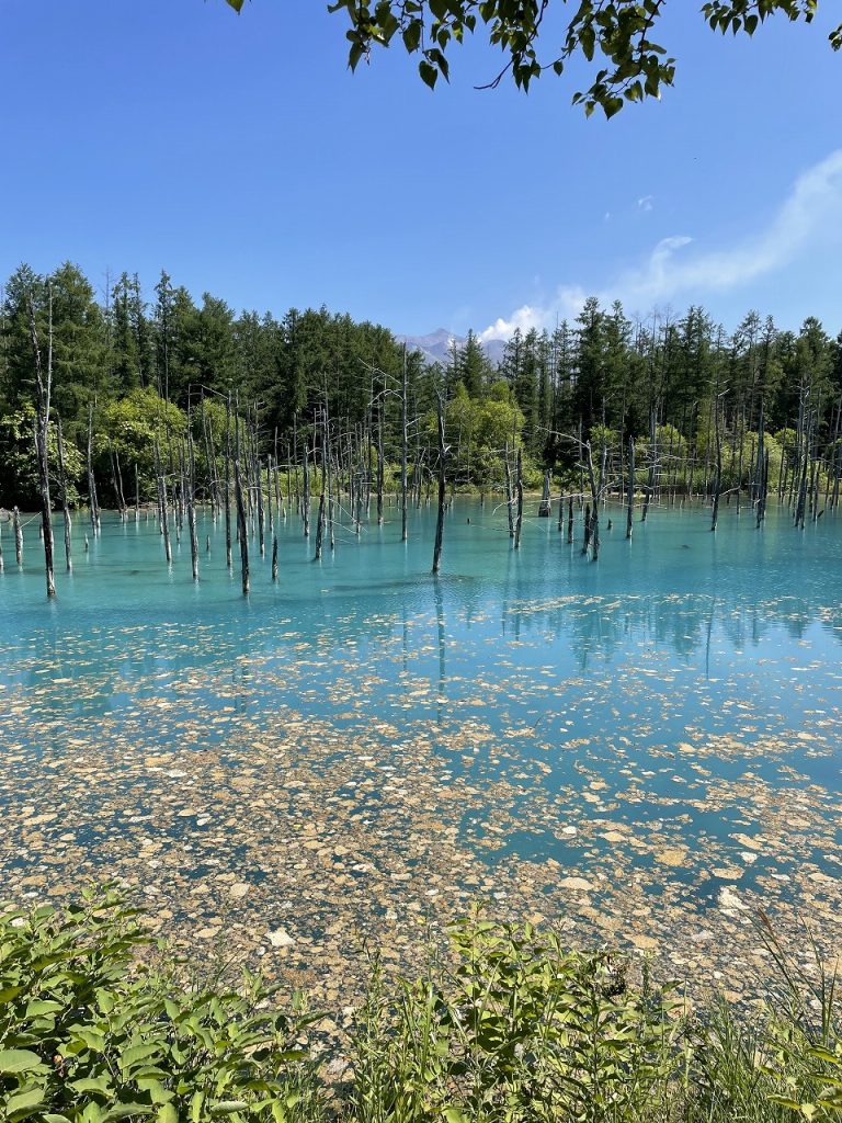 lue pond in Biei near Asahikawa 01