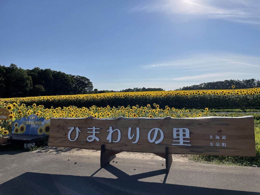 Hokuryu Town Sunflower 03