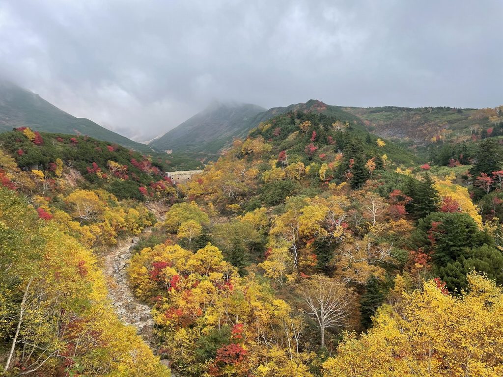 Autumn leaves of Mt. Tokachi 01