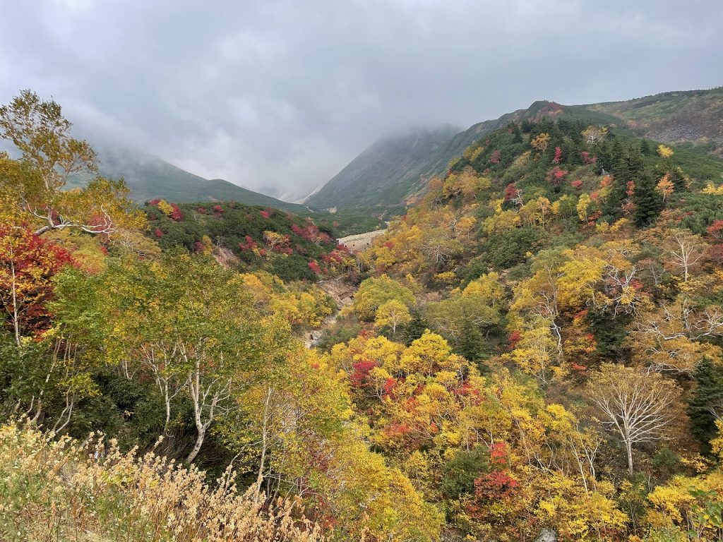 Autumn leaves of Mt. Tokachi 02